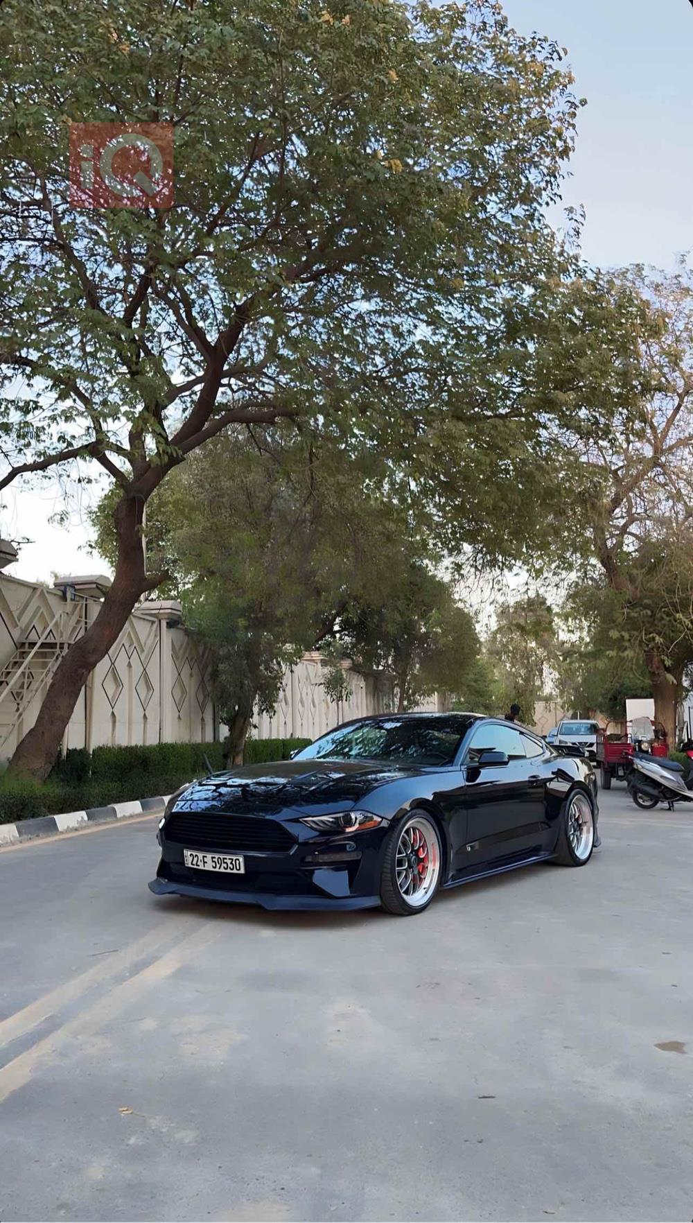 فورد موستانج